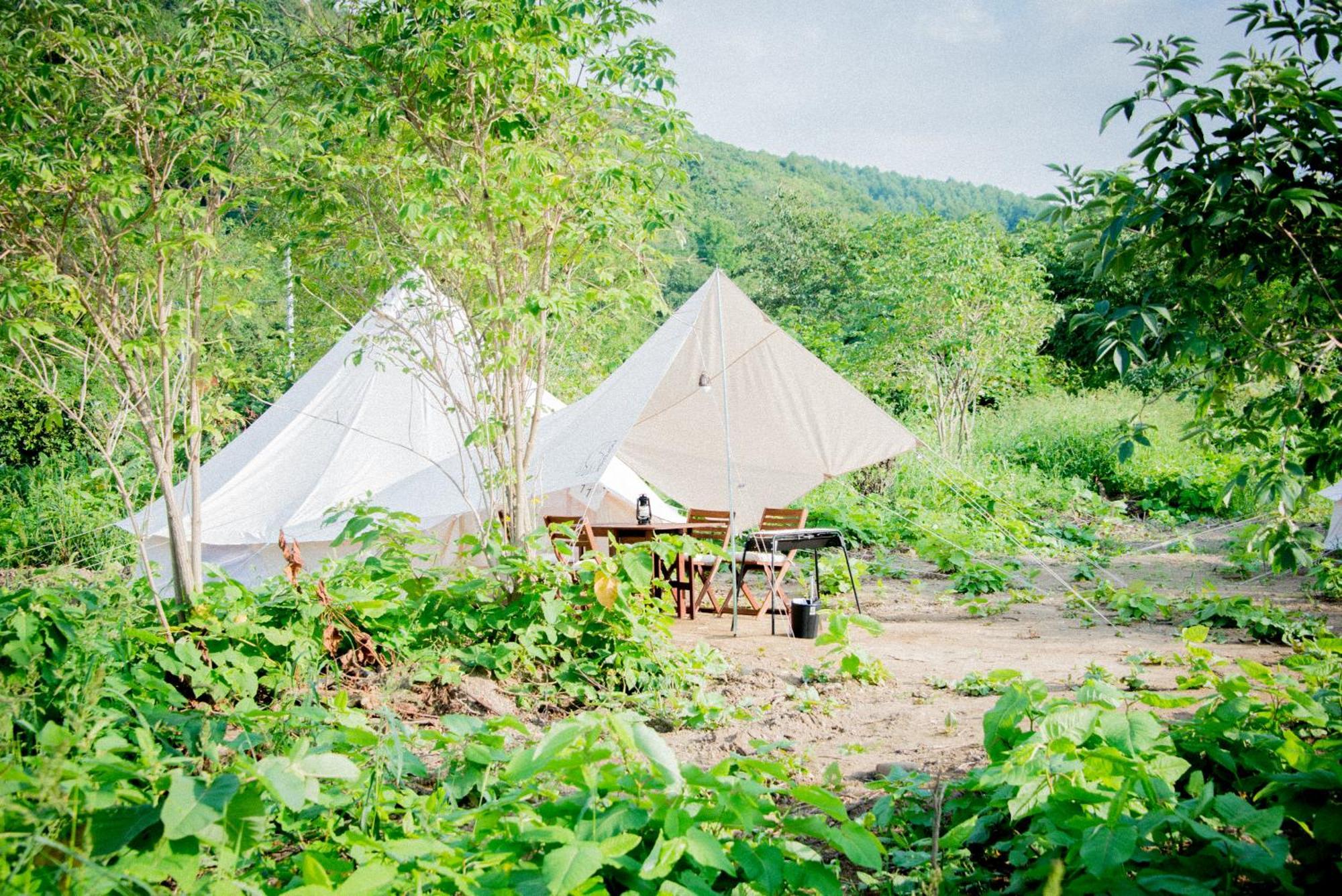 Yoichi Vineyard Glamping Hotel Luaran gambar